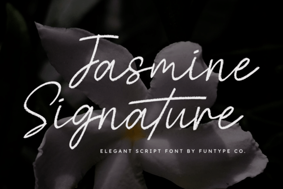 Jasmine Signature: Elegant Script Font Review